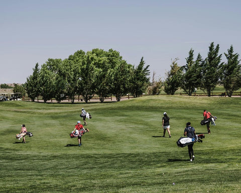 Golfing Bachelor Party in Minnesota