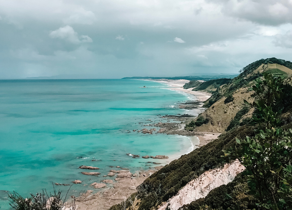 new zealand hikes