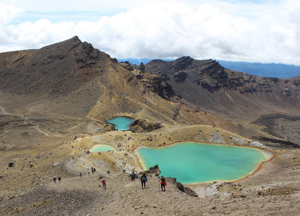 new zealand hikes