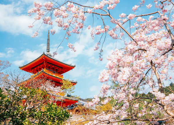 kyoto in spring