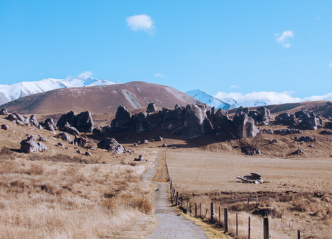 new zealand road trip