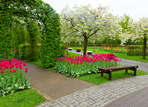 amsterdam in spring