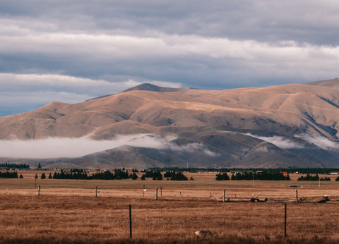 new zealand road trip