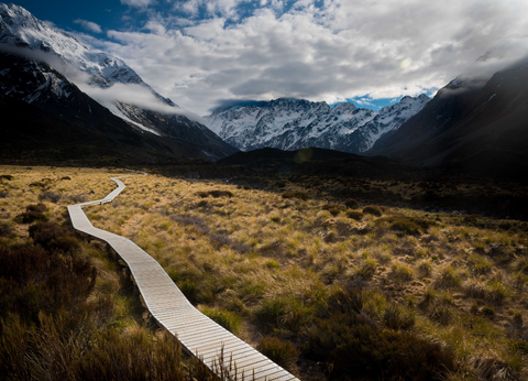 new zealand road trip