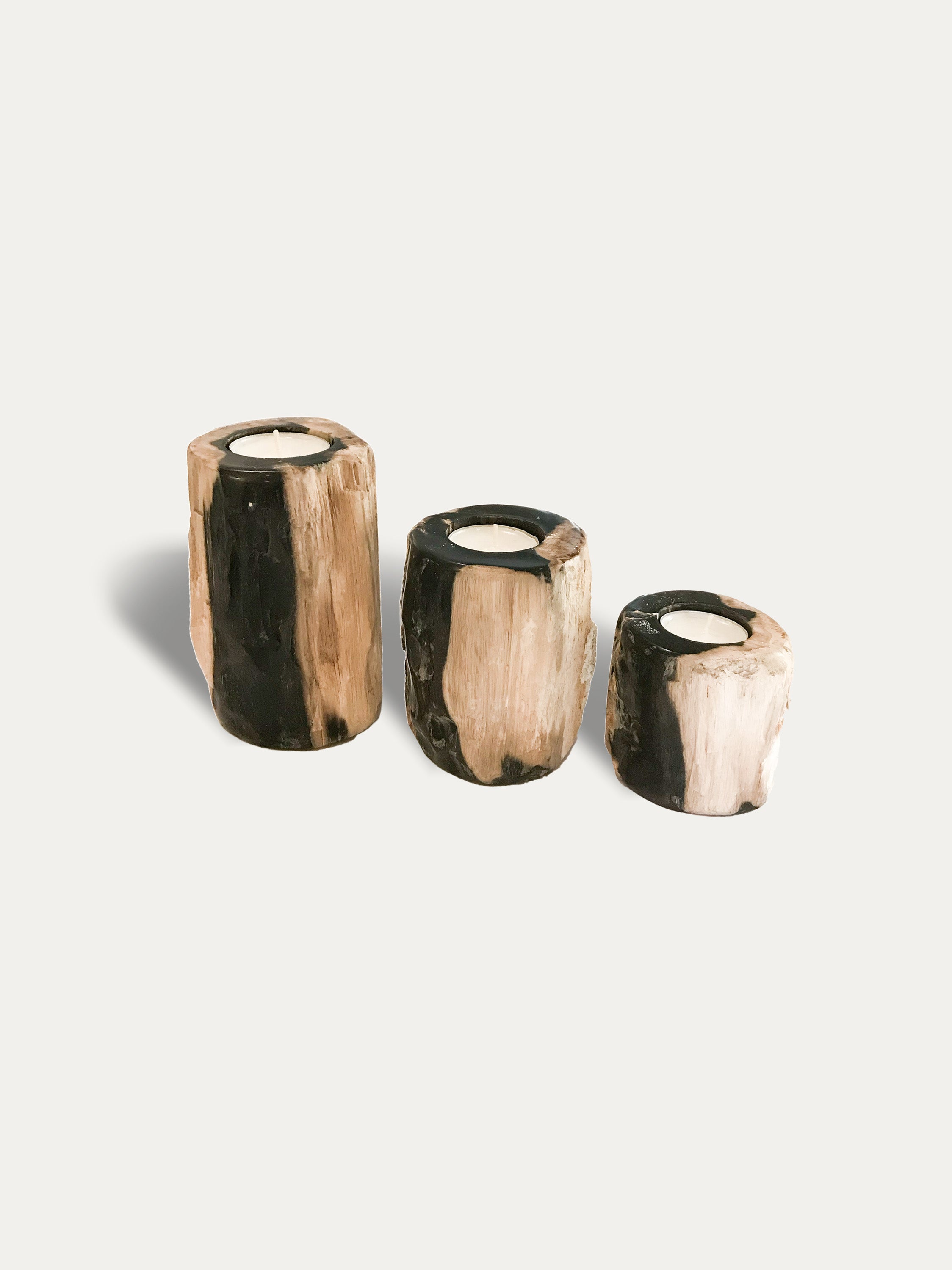 Petrified wood candle and incense holders, porta candele e incenso in legno  pietrificato