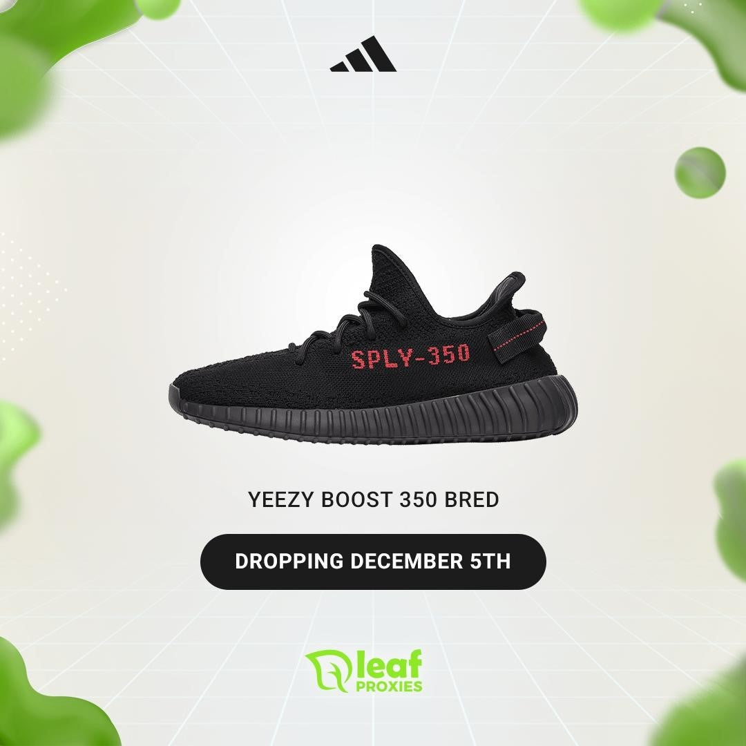 dicksportinggoods yeezy