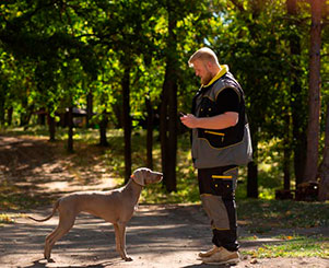 dog training by petspy ecollar