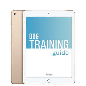 Digital dog training guide