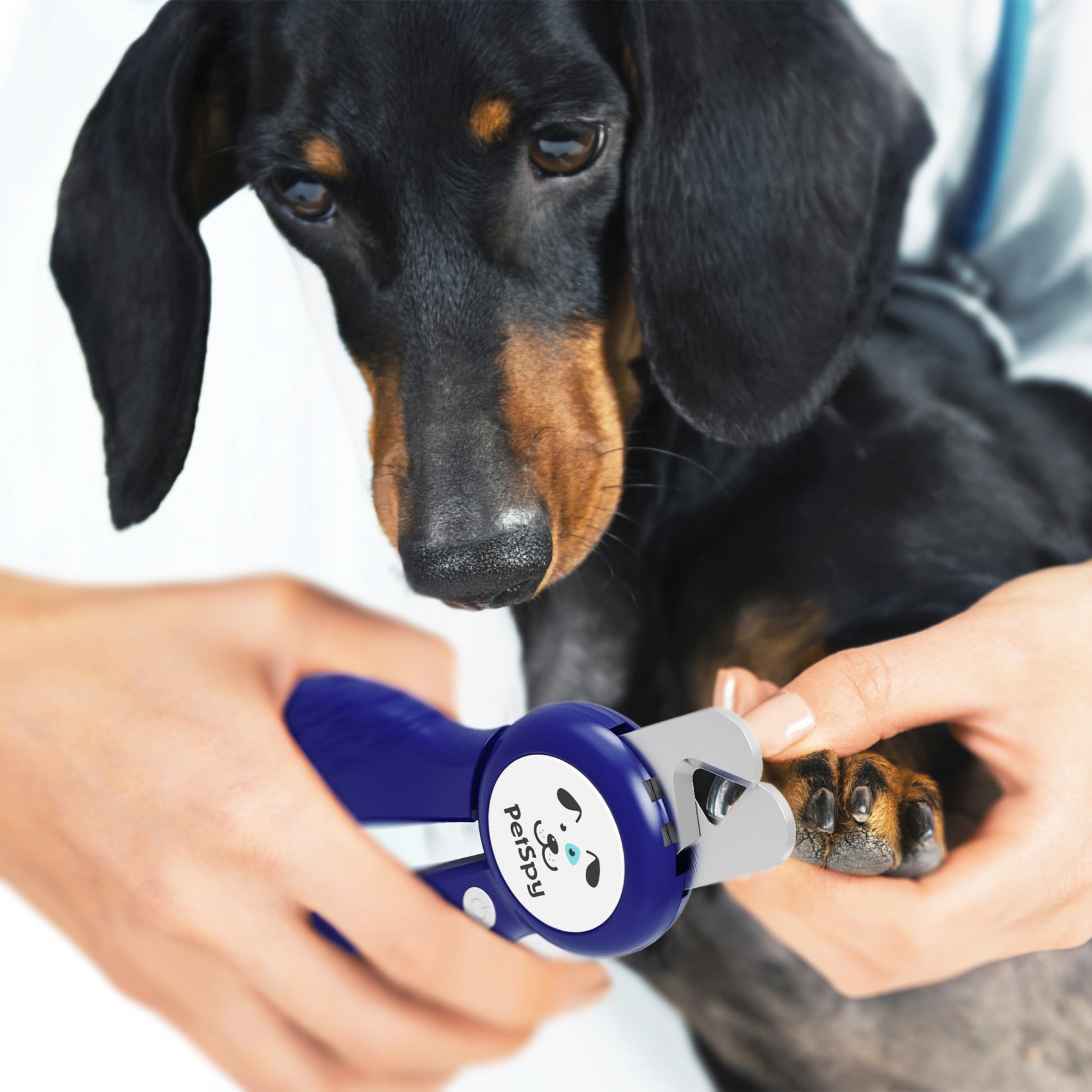 safe dog nail trimmer