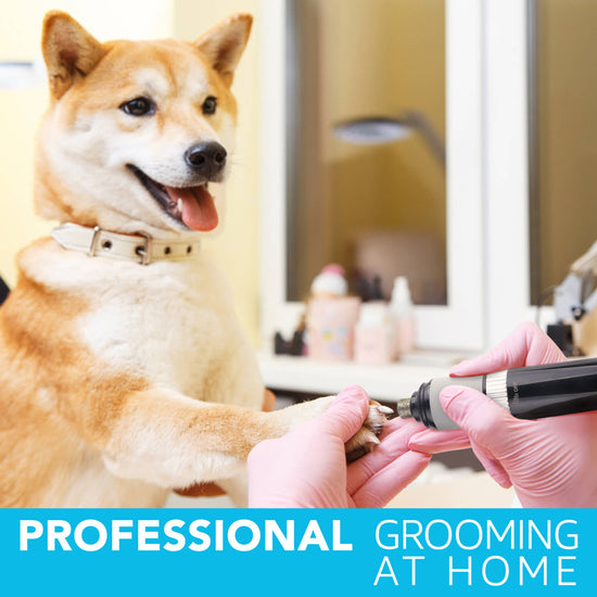 Dog Nail Trimmer Electric Rechargeable Cutter Clippers – Home Goods Mall