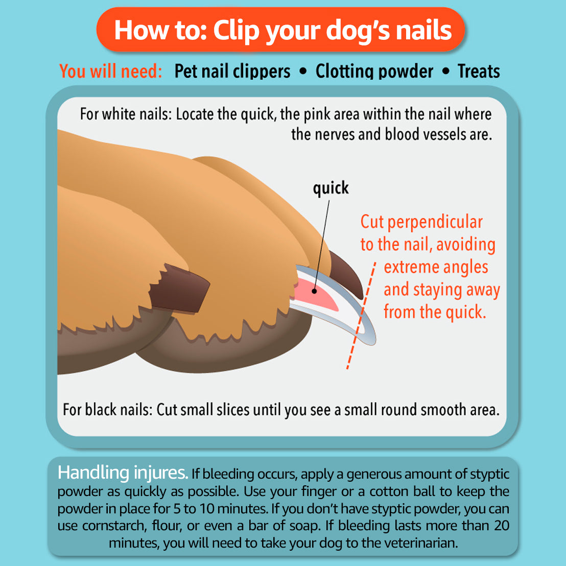 clip dog nails with human clippers