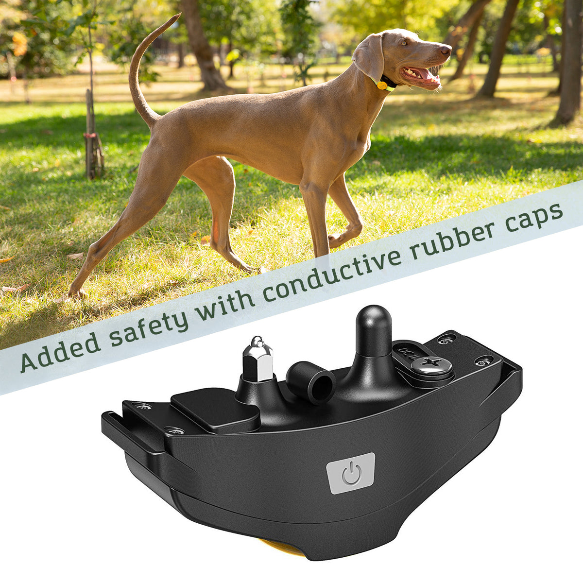 dog shock collar rubber tips