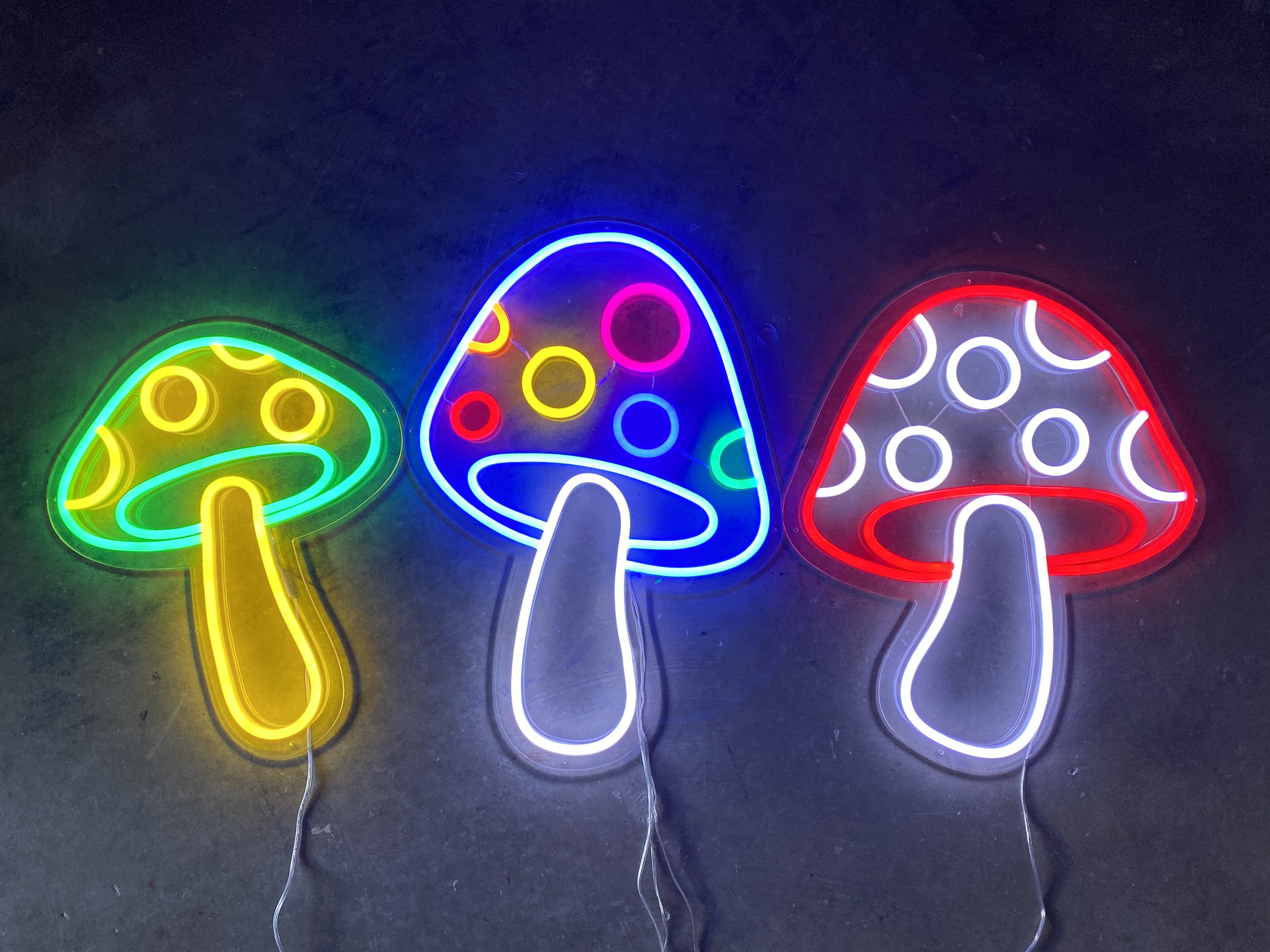 led toadstool