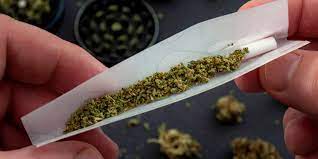 photo of cropped hands rolling a joint, How to roll a joint, easy steps to rolling a joint
