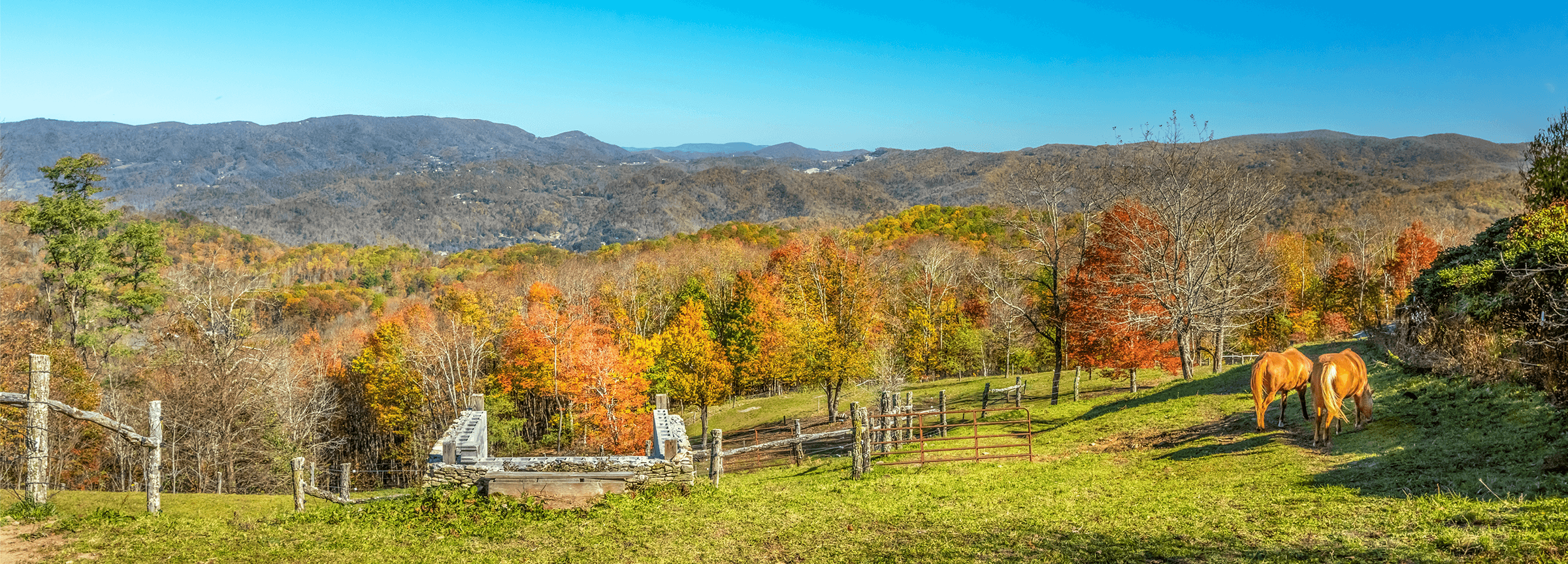 Lavilo™ Greeting Cards - Blue Ridge Mountains