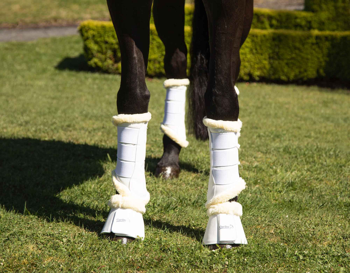 Fleece Lined Brushing Boots | Caribu Horse Wear