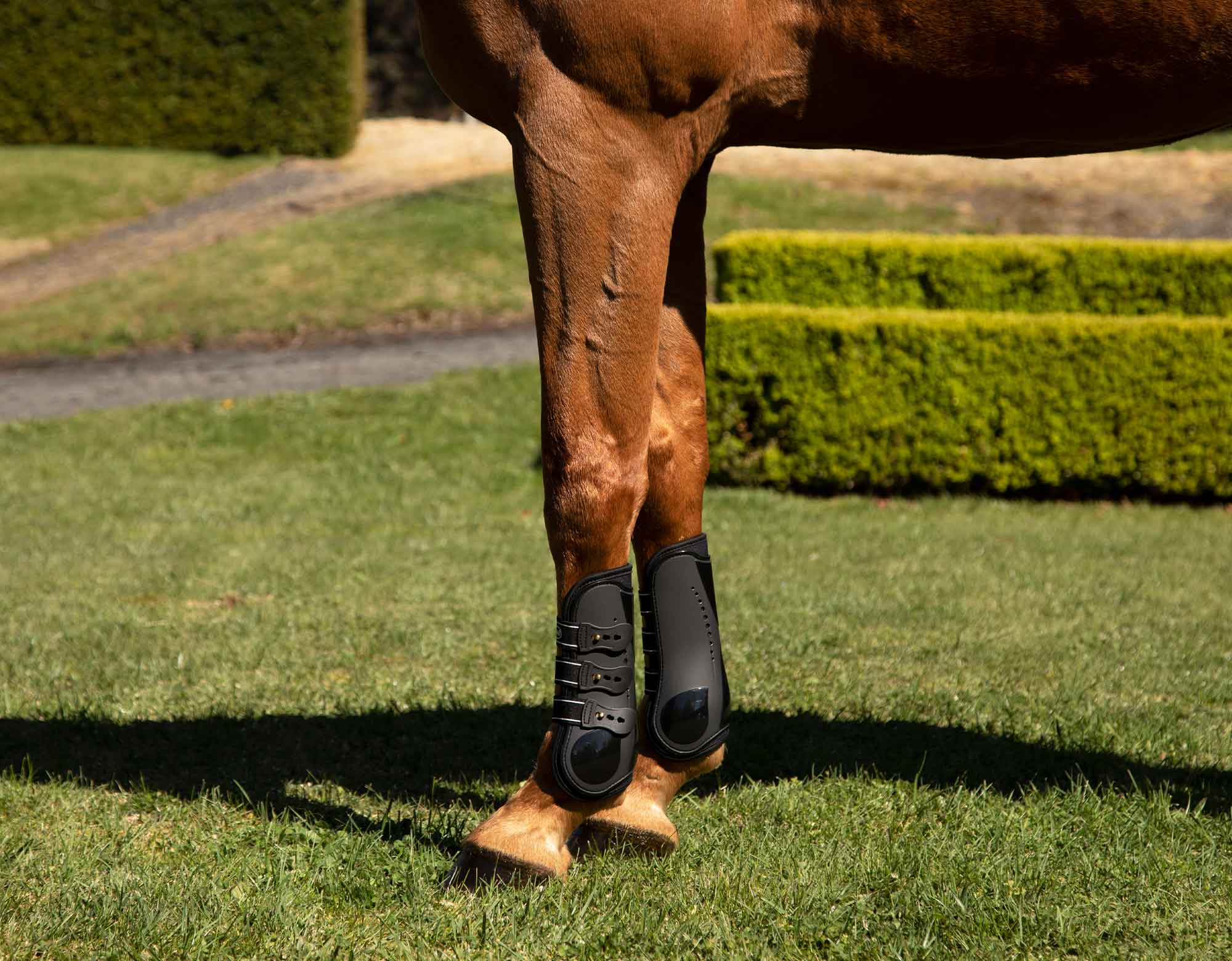Tendon Boots with Stud Fixings | Caribu Horse Wear