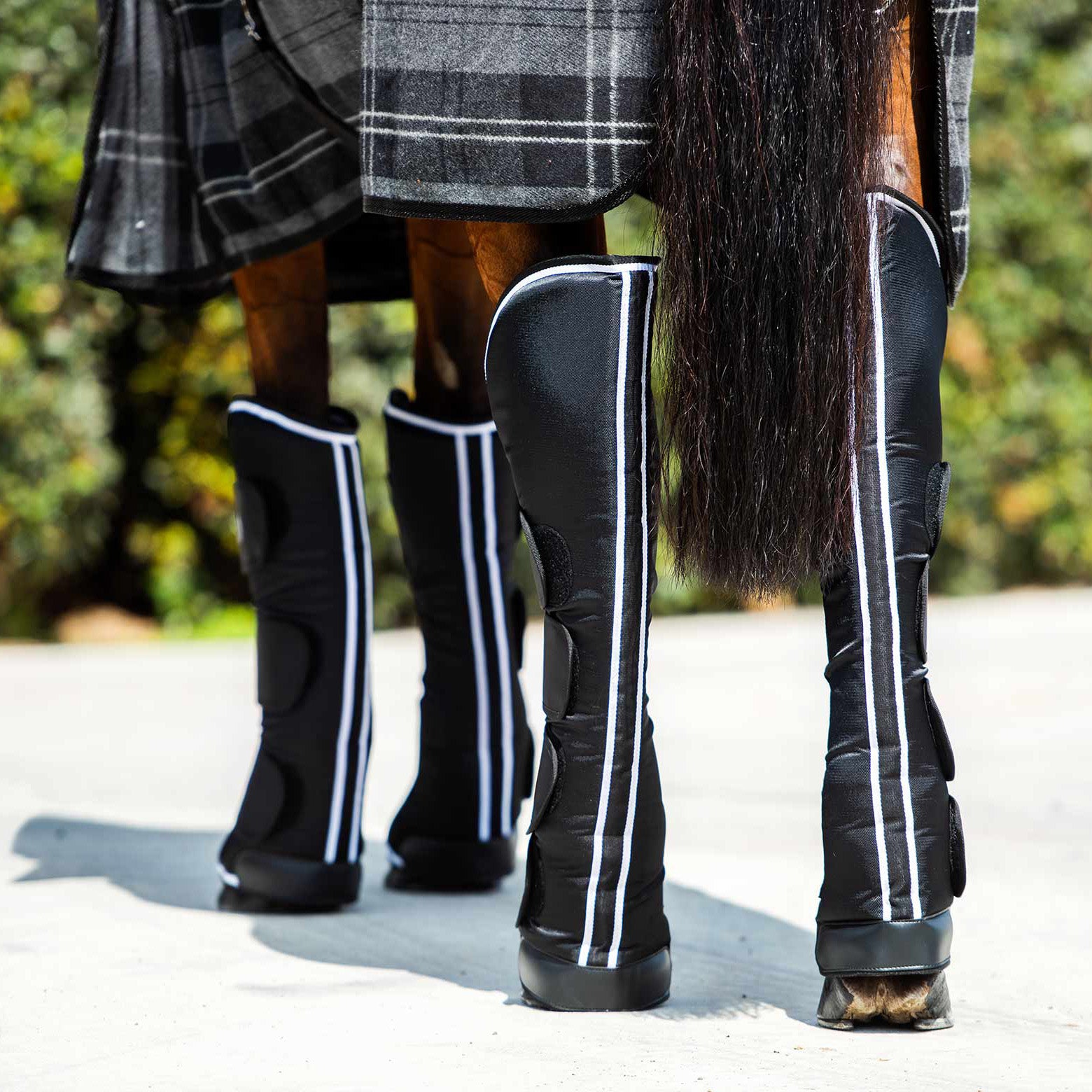 black horse travel boots