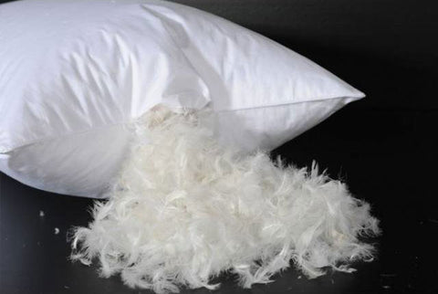 Bulk Feathers, Polyester Pillow Stuffing, & Down Ticking