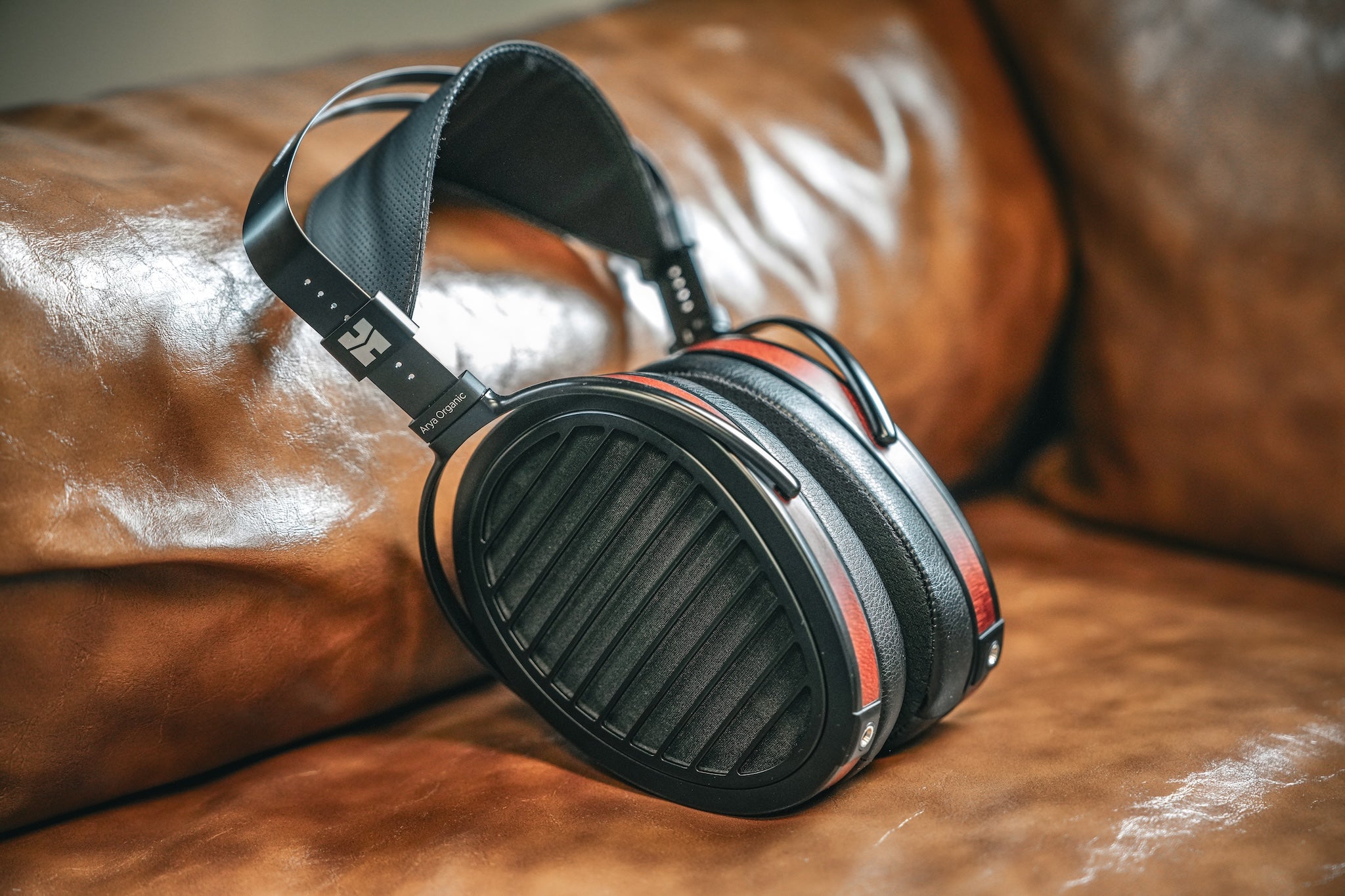 HIFIMAN Buyer's Guide 2023 Arya Organic