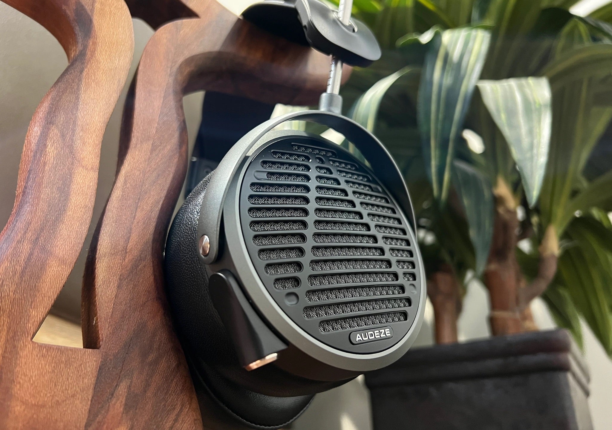 Audeze MM-500 hanging from wood stand with plant