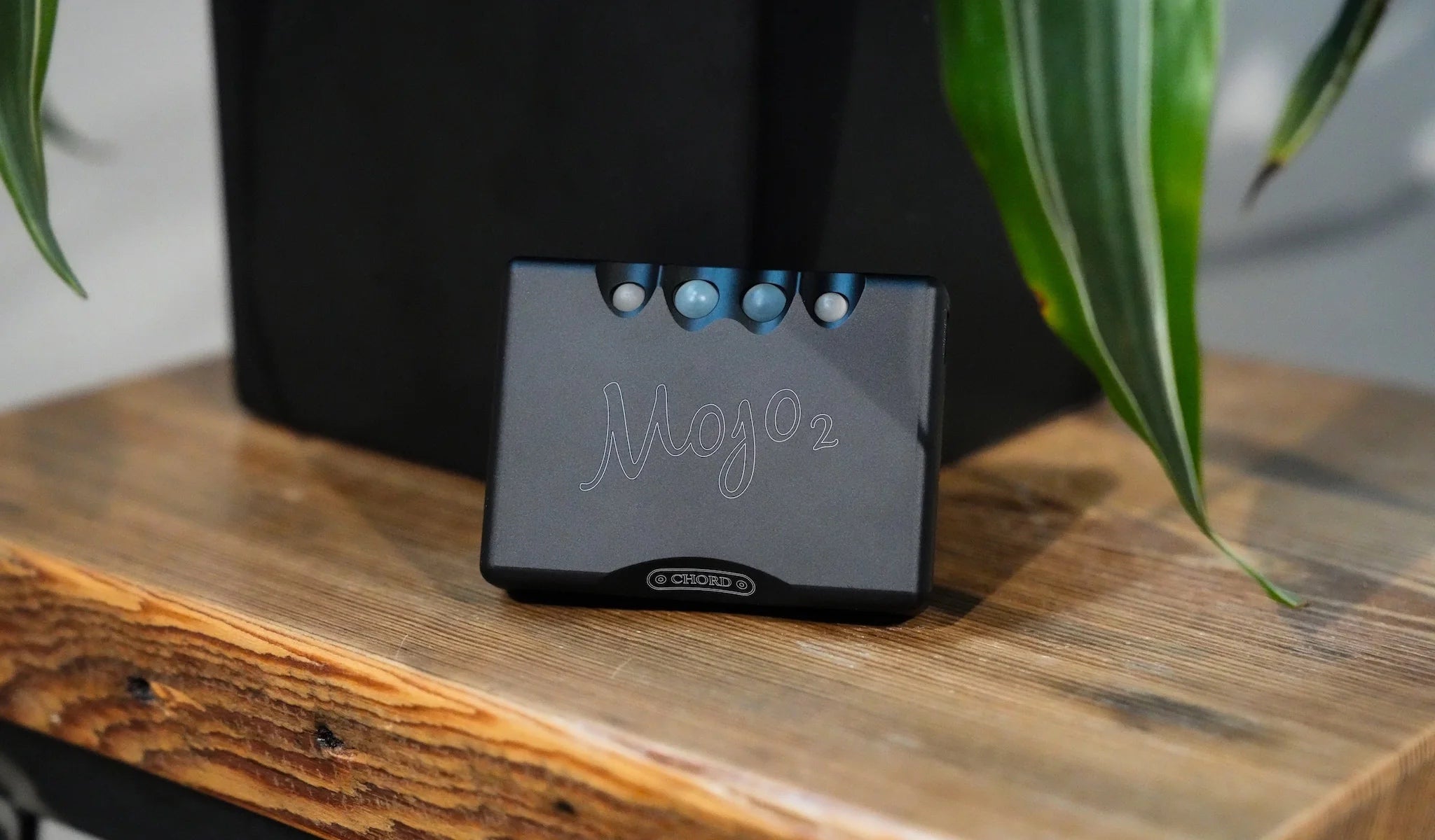 Chord Mojo 2 portable DAC on wood bench with plant