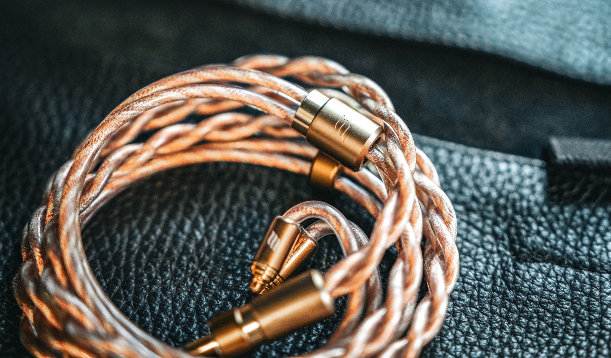 Effect Audio Fusion 1 coiled over dark sea foam leather pouch from Bloom Audio gallery