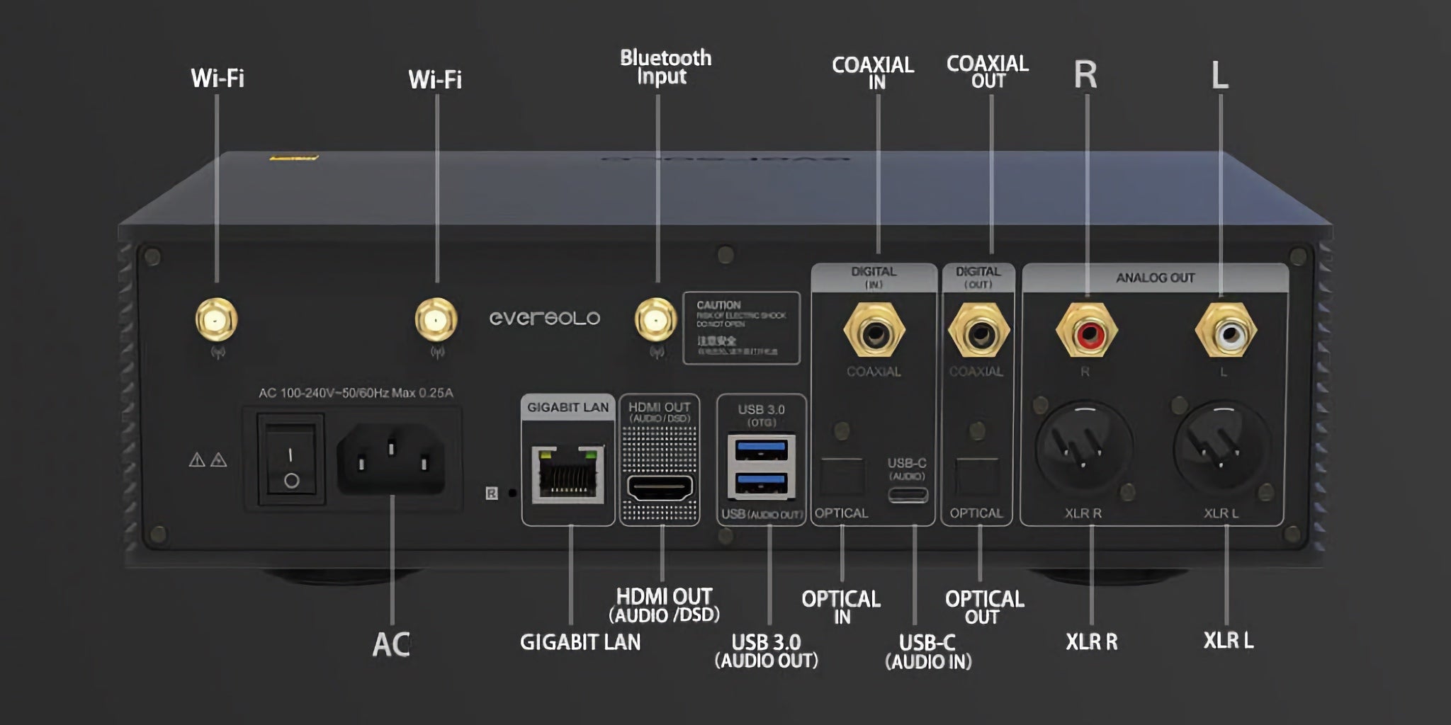 EverSolo DMP-A6  rear input and output diagram