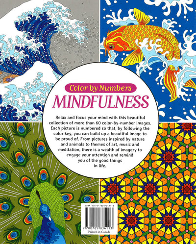 Download Color By Numbers Mindfulness Chartwell Coloring Books Bookxcess Online