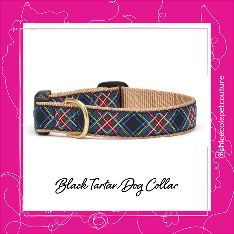 Black Tartan Plaid  red, blue, gold,Dog Collar at Chloe Cole Pet Couture