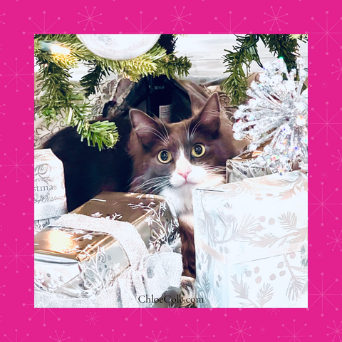 Chloe Cole Pet Couture Christmas Pets Blog