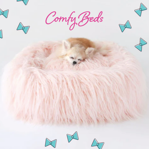 Comfy beds for aging pets