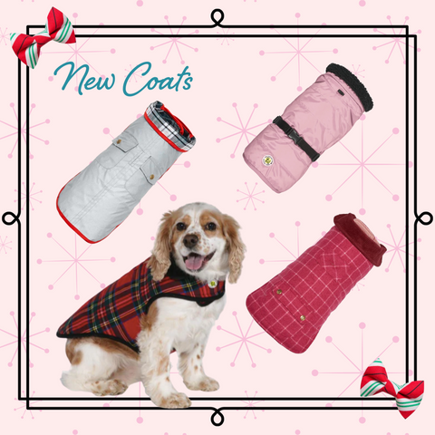 New Coats Holiday Gift Guide