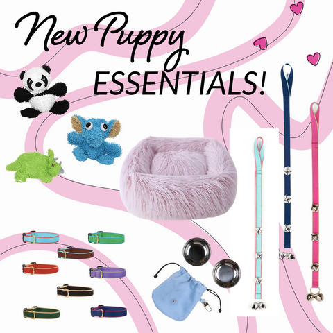 New Puppy Essentials Collection