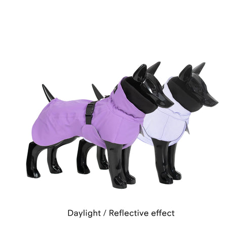 paikka visibility dog raincoat at Chloe Cole Pet Couture