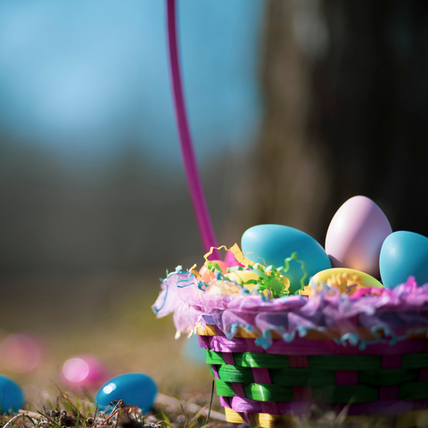 Pet Health- Springtime Hazards- Easter Baskets