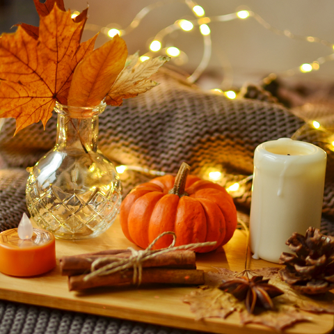 Pet Safe Fall Decorations