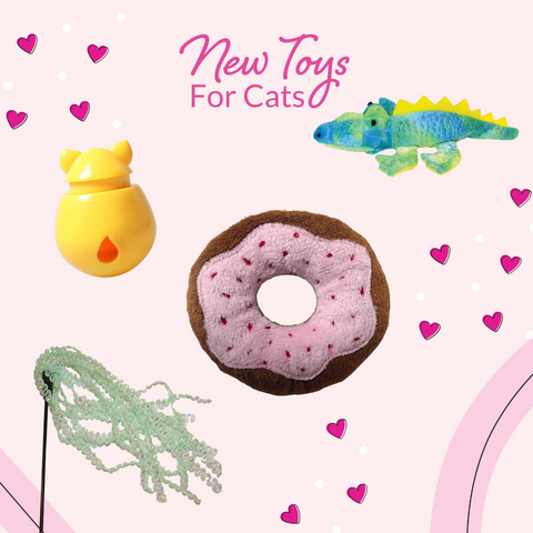 Start the Year Off Fresh with Your Pets- Cat Toys