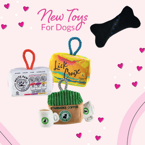 Start the Year Off Fresh with Your Pets- Dog Toys