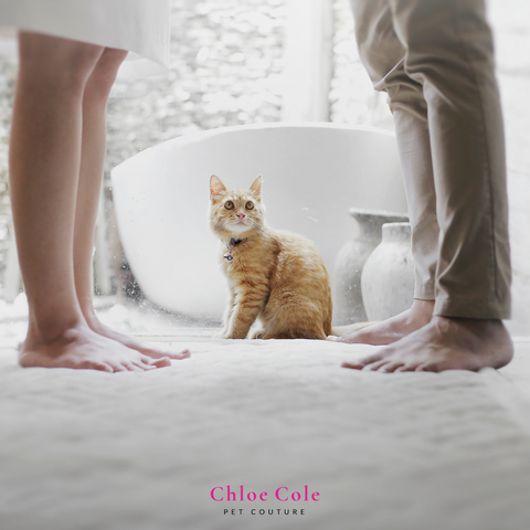 Pet Photo Shoot Ideas- Place your cat in between the both of you. 