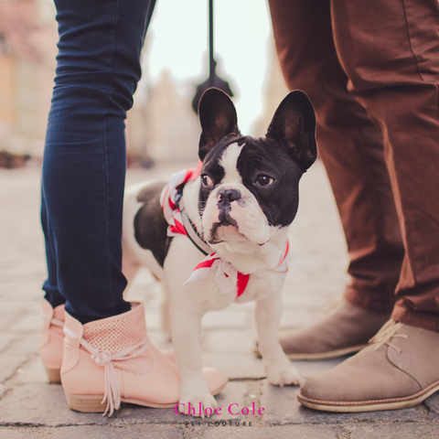 Pet Photo Shoot Ideas- Place your dog in between the both of you. 