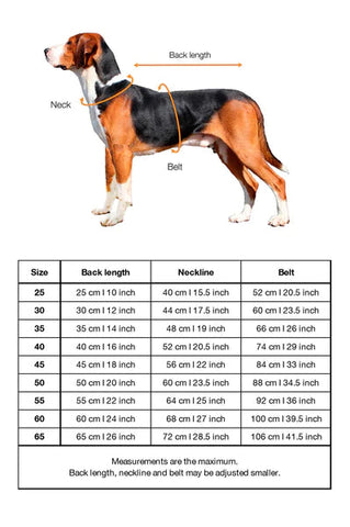 Size Chart Winter Dog Overall at CHloe Cole Pet COuture