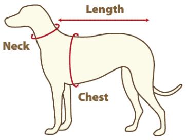 dog sizing chart