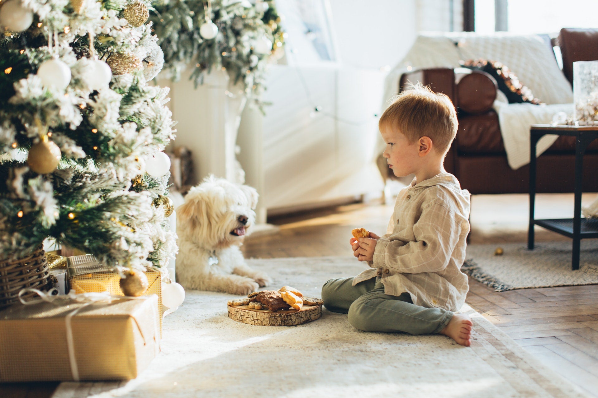 Child_Dog_Christmas Tree