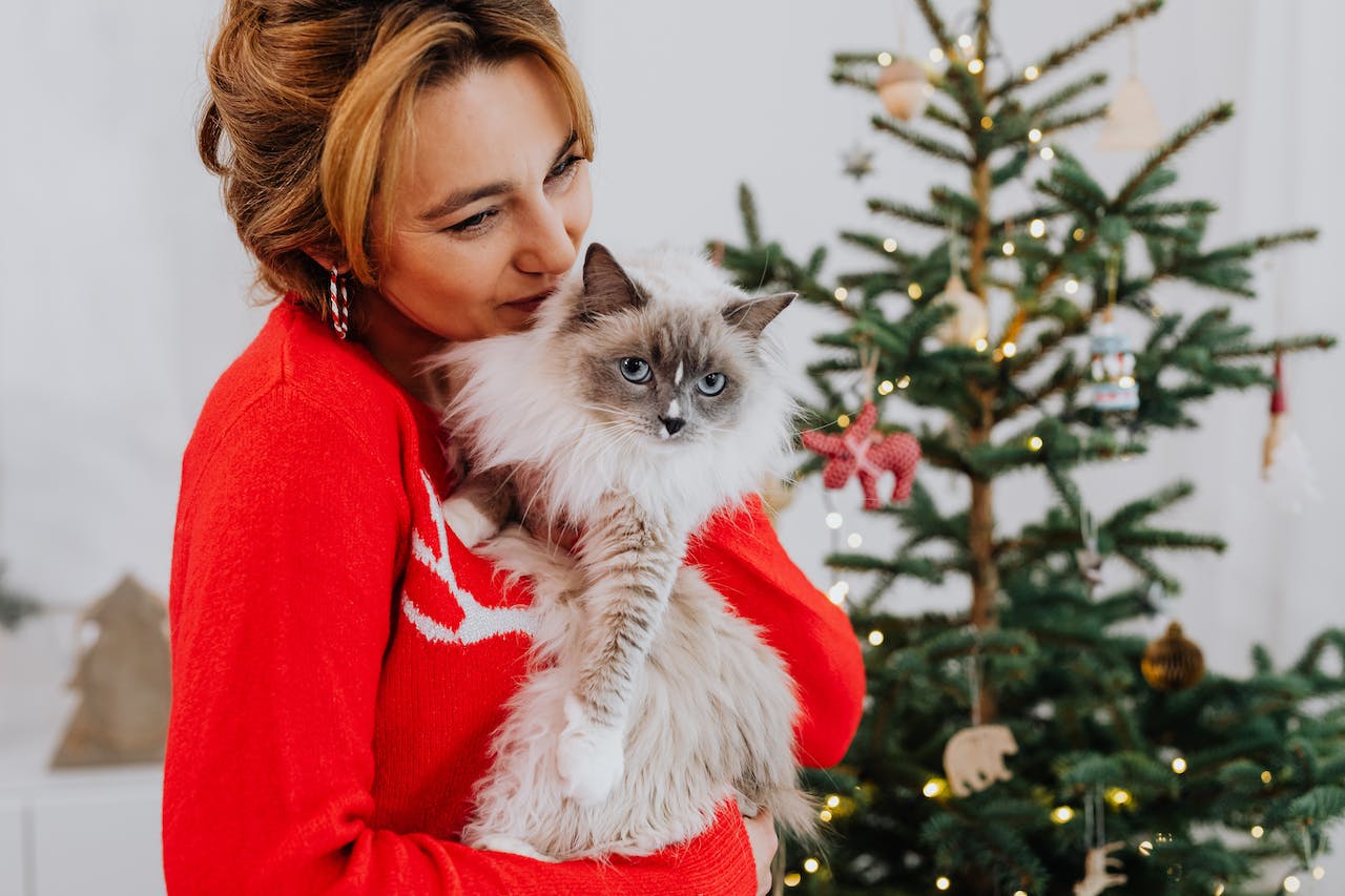 Frau kuschelt mit ihrer Katze vor dem Weihnachtsbaum