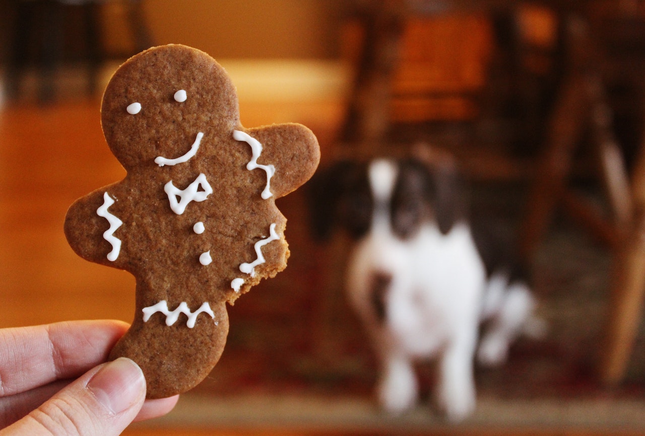 Dog_with_biscuit