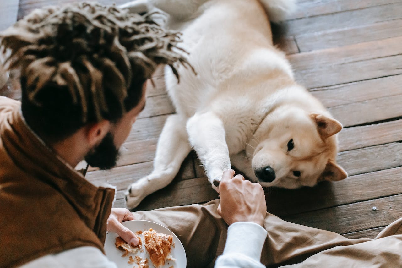 Herrchen und Hund halten Händchen