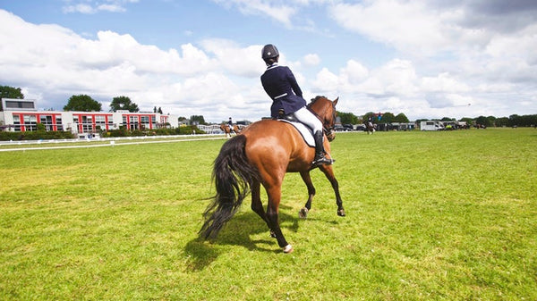 Natural Horsemanship Training