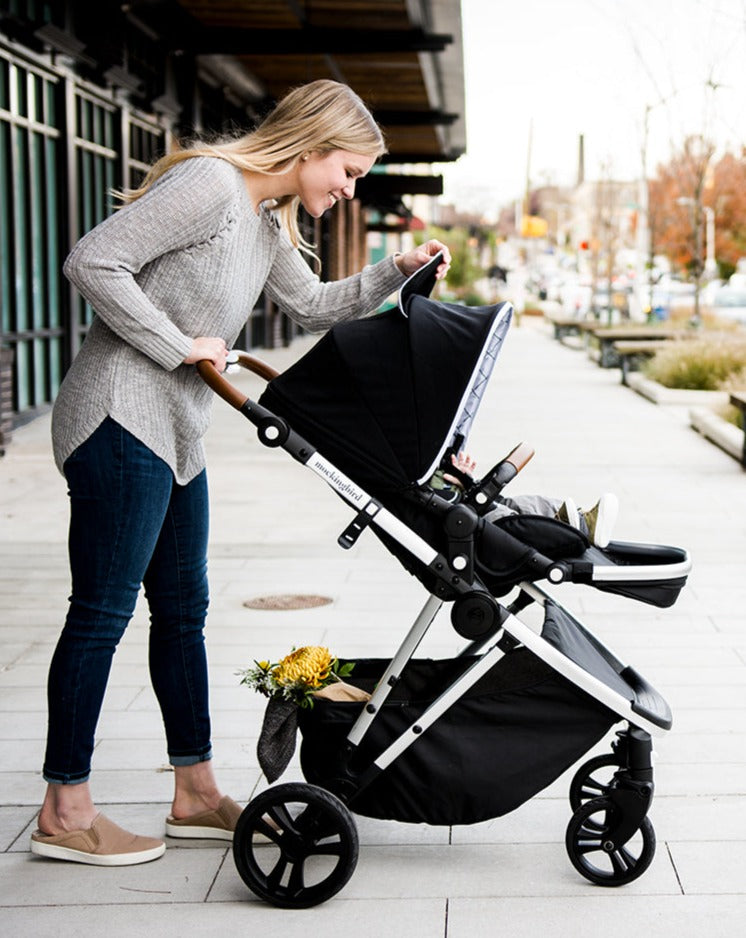 strollers for 2 month old baby