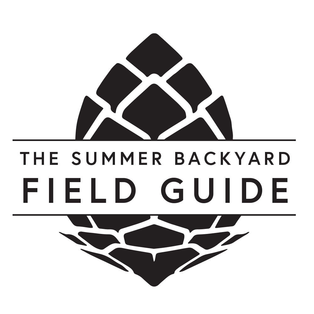 Field Guide Chapter 5